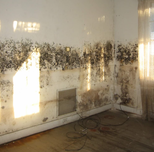 Zwarte schimmel op wand rond ventilatierooster